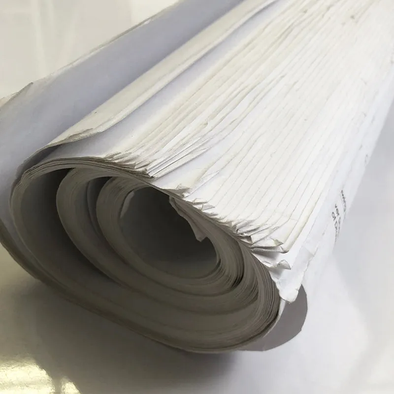 Blue Prints 1 Roll