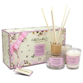 Celtic Candle Gift Set  Pink Grapefruit